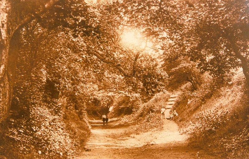 Back_Lane_before_the_Bypass