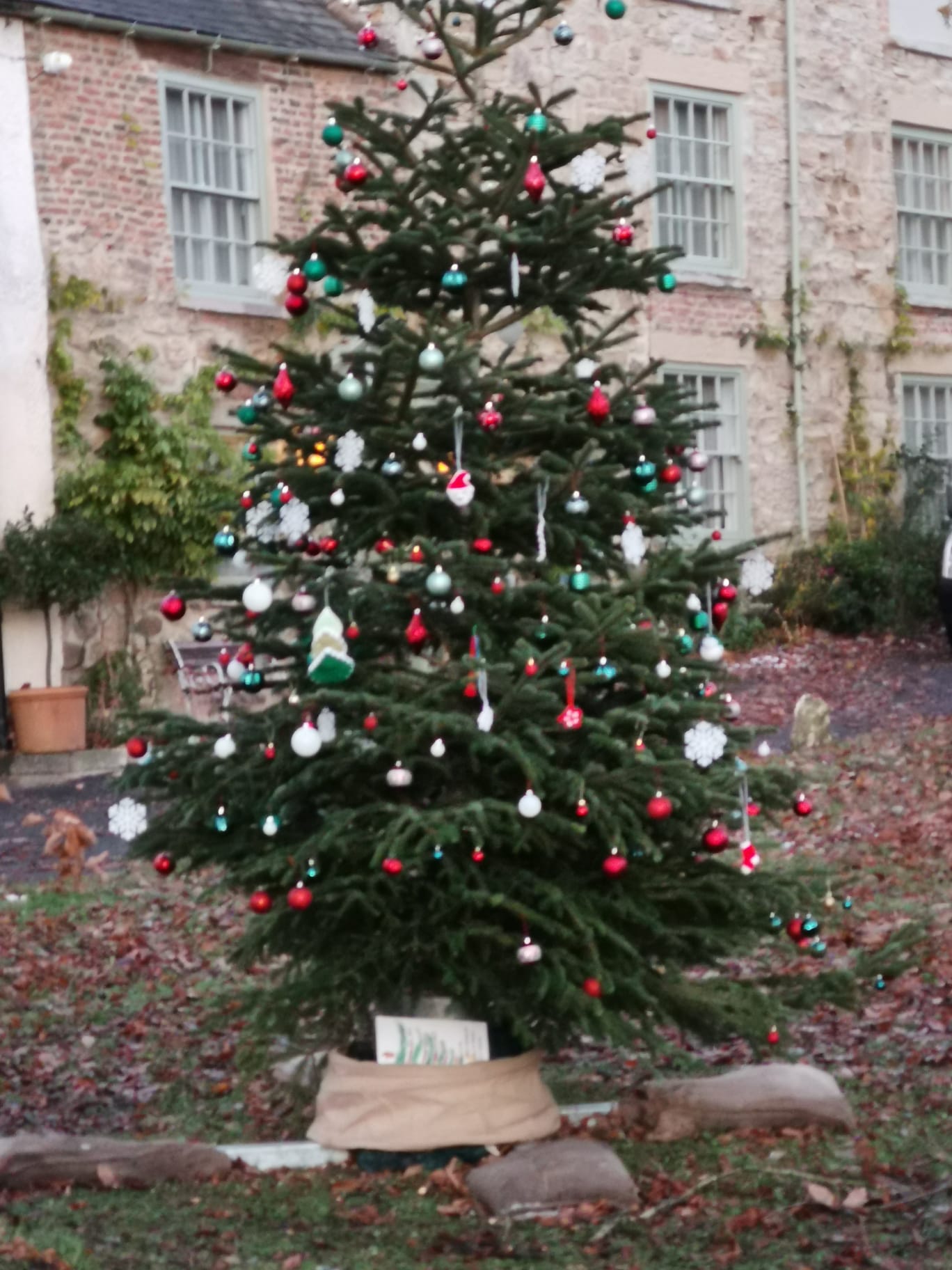 Xmas-tree